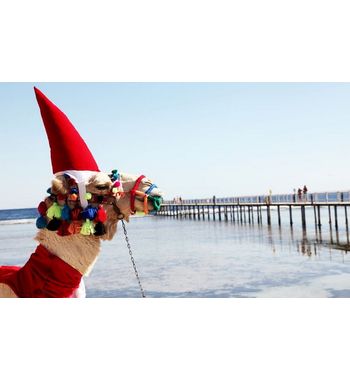 Новый Год в Египте от 740$ за тур!